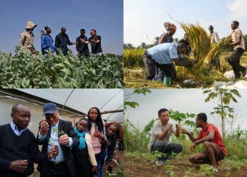 Sin Na Kokarin Gaggauta Taimakawa Kasashen Afirka Da Kara Hadin Gwiwa Da Su