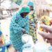 Kannywood Madarar Shanu Da Nijeriya Ke Samarwa Ta Karu Da Tan Miliyan 1.4 A Shekara Biyar