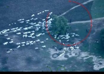 Sojojin Sama Sun Yi Lugudan Wuta Kan Ƴan Ta’adda A Jihar Neja