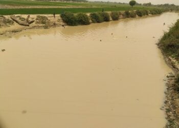 Kudaden Da Ake Karba A Kogin Hadejia Jama’are Daga Hannun Manoma, Ba Haraji Ba Ne – HJRBDA