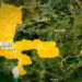 Kano ‘Yan Bindiga Sun Kai Hari Ƙauyen Kebbi, Sun Kashe Mutane Da Dama