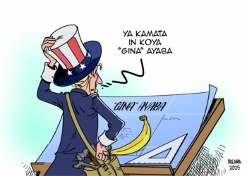 Ba Mu Iya “Gina” Ayaba A Amurka