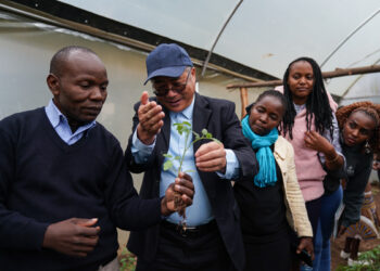 Karin Maganar Sinawa: Koyar Da Su Ya Fi Bayar Da Kifi