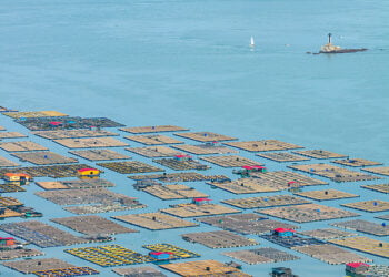 Xi Jinping Ya Jaddada Niyyar Gina Babbar Kasuwar Kasa Ta Bai Daya, Tare Da Raya Tattalin Arziki Na Teku Mai Inganci