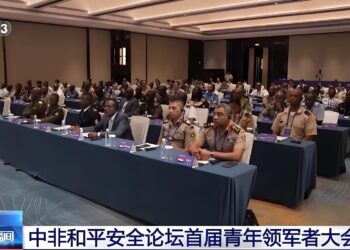 An Yi Taron Farko Na Shugabannin Matasa Na Dandalin Zaman Lafiya Da Tsaro Na Sin Da Afirka