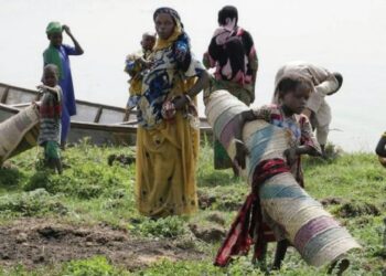 Ayyukan ‘Yan Ta’adda Na Barazana Ga Shirin Gwamnati Na Wadata Kasa Da Abinci