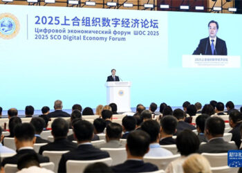 Sin Ta Yi Kira Da A Karfafa Hadin Gwiwa A Fannin Tattalin Arziki Na Zamani