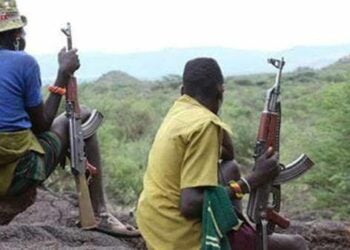 Ƴan Bindiga Sun Tafka Gagarumar Sata A Bauchi, Sun Tafi Da Mutane 4