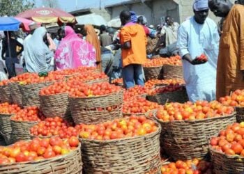 Al’umma Na Kokawa Kan Tsadar Kayan Miya A Sassan Kasar Nan