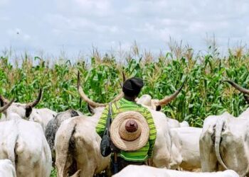 Rikicin Makiyaya Da Manoma: An Kashe Mutum Daya, Gidaje 31 Sun Kone A Abuja