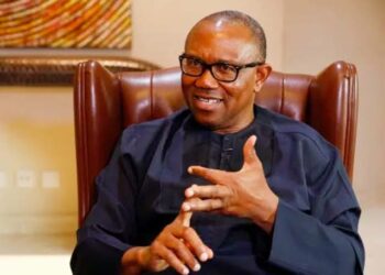 Ƴan Arewa Za Su Yi Murna Idan Na Zama Shugaban Ƙasa — Peter Obi