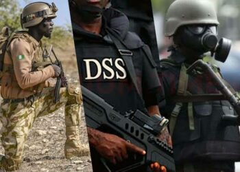 Sojoji, DSS Sun Hallaka Ƴan Bindiga 45 A Neja