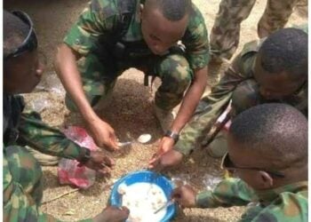 An Fara Binciken Bidiyon Ciyar Da Sojoji Garaugarau