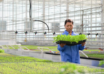 Mataimakin Firaministan Sin Ya Jaddada Muhimmancin Sabbin Fasahohin Kimiyya A Fannin Aikin Gona Da Kiwon Lafiya