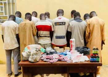 NDLEA Ta Kama Dilolin Ƙwaya 49 A Kano