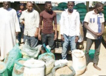 Kwararre Ya Ja Hankali Kan Sayar Da Takin Zamani Da Ba A Tantace Shi Ba