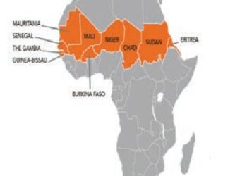 Kasashen Sahel Na Bukatar Agaji Domin Yaki Ta’addanci -Rasha