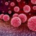 Tattalin arziki Yadda Za A Magance Ciwon Sanyi (Infection) Da Tafarnuwa