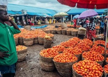 Manyan Ƙalubale Takwas Da Ke Shafar Farashin Tumatir