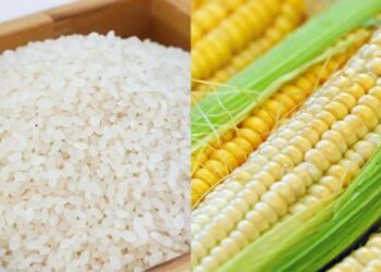 Manoma Sun Caccaki Tinubu Kan Ƙarfafa Shigo Da Shinkafa Da Masara Daga Ƙasashen Waje