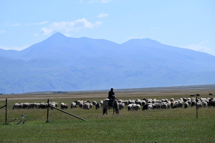Xinjiang