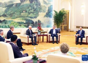 Li Qiang Ya Gana Da Tawagar Membobin Majalisar Wakilai Ta Amurka