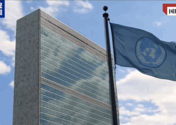 Ya Kamata a Nace Ga Ka’idojin MDD Duk Da Kalubalen Da Ake Fuskanta