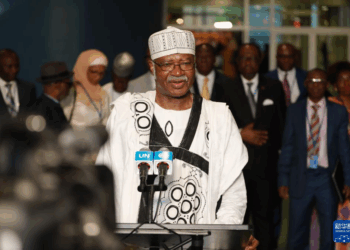 Kasar Sin Ta Bayar Da Gaggarumar Gudunmuwa Ga Wanzuwar Zaman Lafiya Da Ci Gaba Mai Dorewa A Duniya