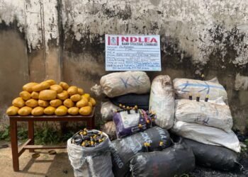 NDLEA Ta Kama Haramtattun Magungunan Gargajiya A Jihar Kano