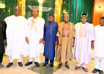 Gwamnoni Sun Yi Kira Ga Tinubu Kan Ci Gaba Da Hako Mai A Kolmani Da Tafkin Chadi 