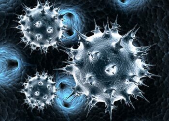 An Gano Cututtuka Uku Da Suka Ta Da Hankalin Hukumomin Lafiya A Nijeriya