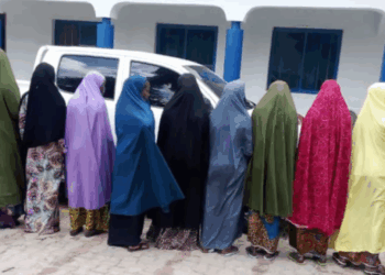 NAPTIP Da Hisbah Sun Ceto Mata 12 Da Aka Yi Safararsu A Kano Zuwa Saudiyya