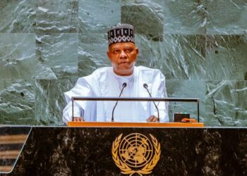 UNGA: Tinubu Ya Nemi Kujerar Dindindin Ga Nijeriya A Majalisar Tsaro