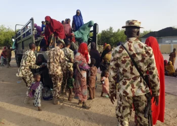 Sojoji Sun Kashe Ƴan Ta’adda 14 A Borno Da Adamawa, Sun Ƙwato Makamai