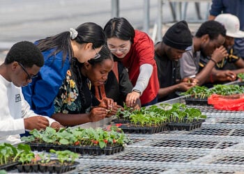 Gona Masanan Kasar Sin Da Afirka Sun Hada Karfi Da Karfe Don Habaka Samun Wadatar Abinci Da Zamanantar Da Aikin Gona