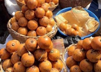 Kankana Sharhi Kan Noman Agwaluma A Nijeriya