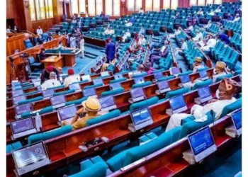 tinubu ‘Yan Ta’adda Sun Yi Barazanar Sanya Wa Majalisa Bam – Ɗan Majalisa