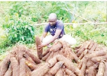 Hikimar Gwamnatin Tarayya Ta Tallafa Wa Manoman Jihar Edo