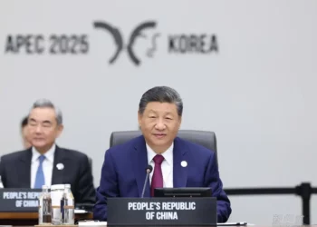 CMG Xi Jinping Ya Halarci Kwarya-Kwaryan Taron Shugabannin APEC Na 32 Tare Da Gabatar Da Jawabi