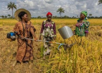 Dalilin IFAD Na Zuba Naira Biliyan 16 A Fannin Noma A Benuwe