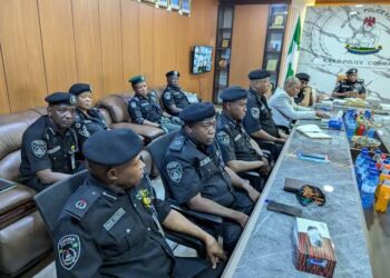 Ƴansanda Sun Kama Gungun Masu Sojan Gona Suna Aikata Laifuka A Kano