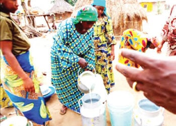 Yadda Haɗa Jinsin Shanu A Zamance Zai Ƙara Samar Da Madara