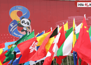 Bikin CIIE Ya Nuna Yadda Sin Ke Ba Da Jagora Kan Harkokin Bude Kofa