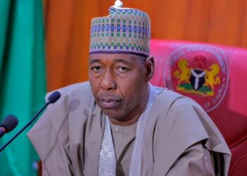 Ƴan Ta’adda Sun Sace Mata Manoma 13 A Borno