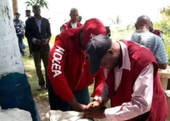 NDLEA Ta Cafke Mutane 230 Da Miyagun Ƙwayoyi A Kano