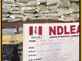 NDLEA