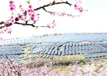 Masara An Bukaci Manoma Su Rungumi Tsarin Noma Mai Jure Wa Sauyin Yanayi