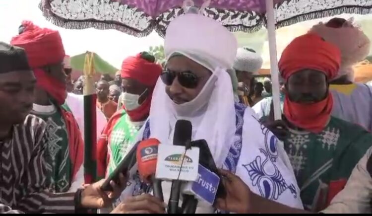 Sarki Sarki