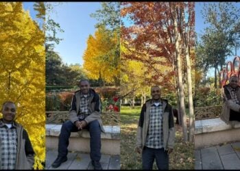 Yanayi Mai Launin Zinare A Kasar Sin