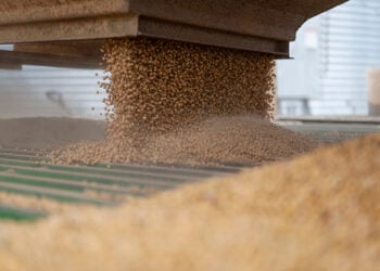 Chip Kasar Sin Za Ta Dage Dakatar Da Shigo Da Waken Soya A Kan Kamfanonin Amurka Uku